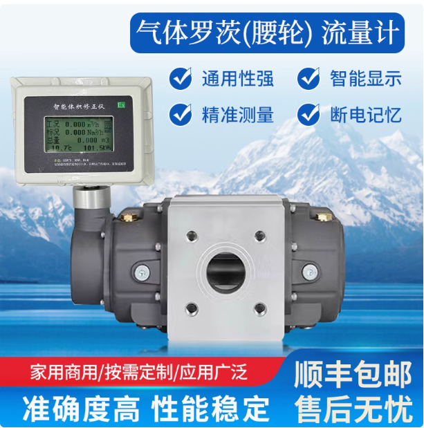 LLQ-32氣體羅茨腰輪流量計(jì)